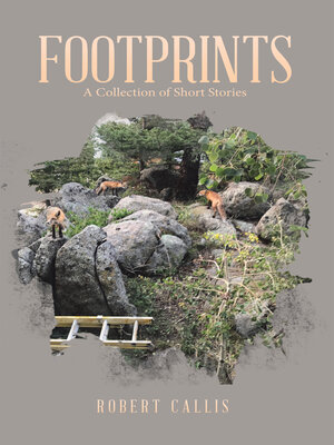 cover image of FOOTPRINTS